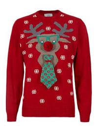 Christmas Moose Head Jumper