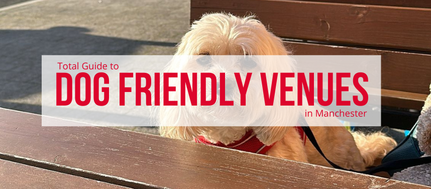 Dog Friendly Venues in Manchester